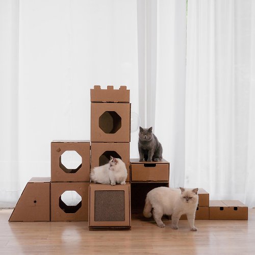 ASKiDS孩紙器 【快塊宅|無限擴充的元宇宙豪宅】首創人與貓都能使用的萬用貓屋