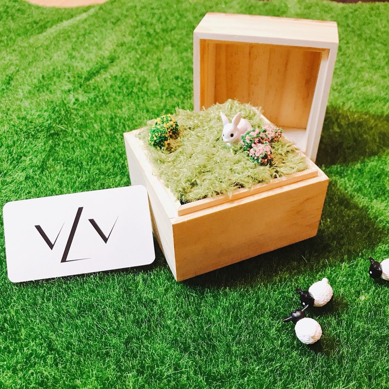 小盒子 - 禮物盒/包裝盒 - 木頭 卡其色