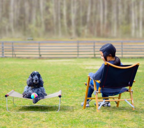 Kermit Wide Chair White Oak Kermit Chair Wide Edition (Navy