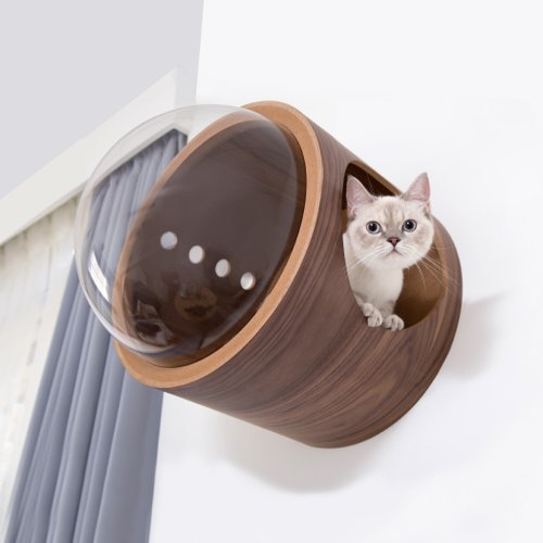MYZOO動物緣 太空計劃 Gamma-胡桃木色