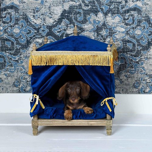 荷蘭Lord Lou頂級寵物傢俱 Edward Green愛德華天鵝絨皇家宮殿-藍寶石 限量 (現貨)
