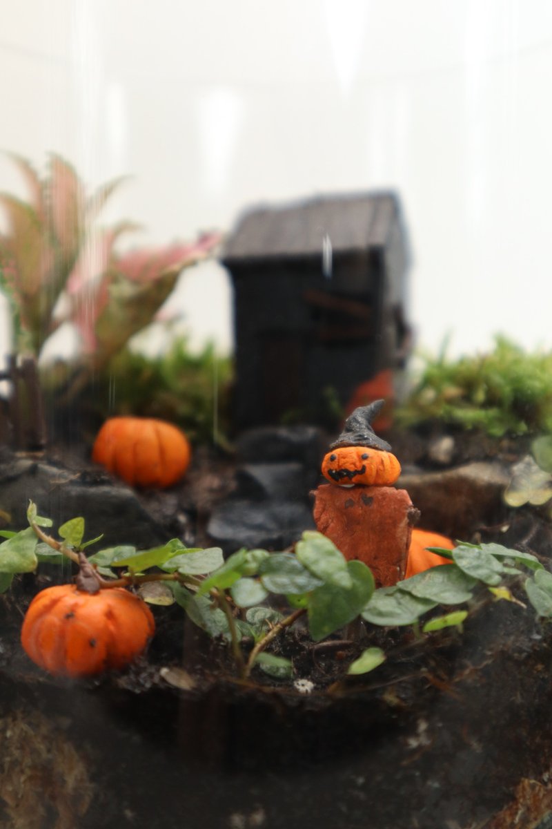 [Micro Landscape] No. 1031 Pumpkin Village - Moss Group Pot/Halloween/Gift Exchange/Pumpkin - ตกแต่งต้นไม้ - แก้ว สีเขียว