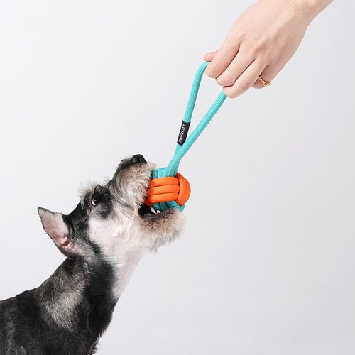 PAWZCITY 狗狗巡迴冰淇淋球