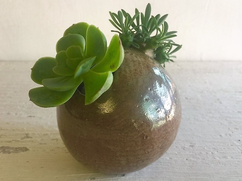Round hole potted plant series-primary color double opening_pottery flower pot - Plants - Pottery Brown
