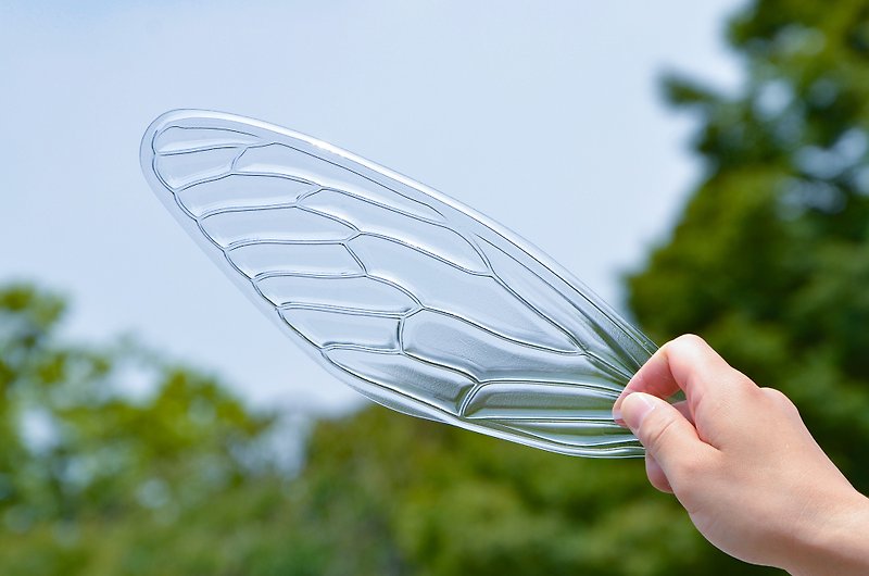 Plastic Fans Transparent - せみうちわ 透明 Cicada Fan Clear