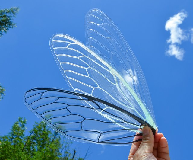 せみうちわ 透明 Cicada Fan Clear - ショップ oodesign 扇子