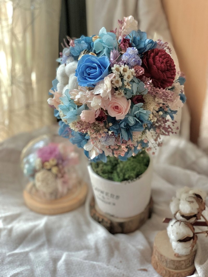 涼夏 不凋花樹 永生花 乾燥花 索拉花 畢業禮物 - 乾燥花/永生花 - 植物．花 藍色