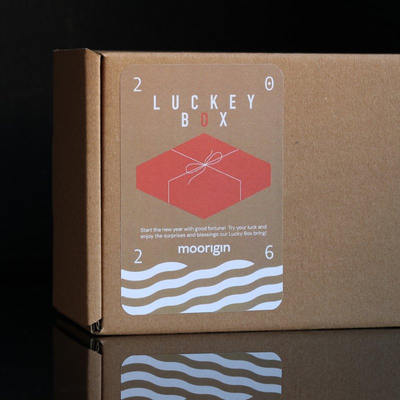 2026 Lucky Box - Necklaces - Stainless Steel 