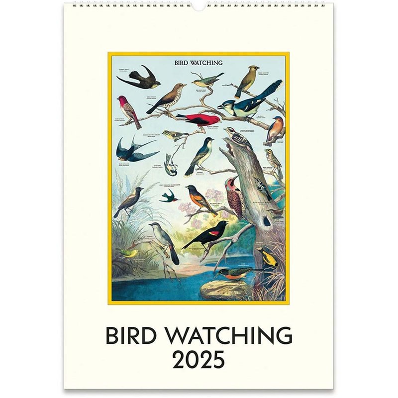 Cavallini & Co. 2025 Annual Calendar/Wall Calendar_Bird Watching - ปฏิทิน - กระดาษ หลากหลายสี