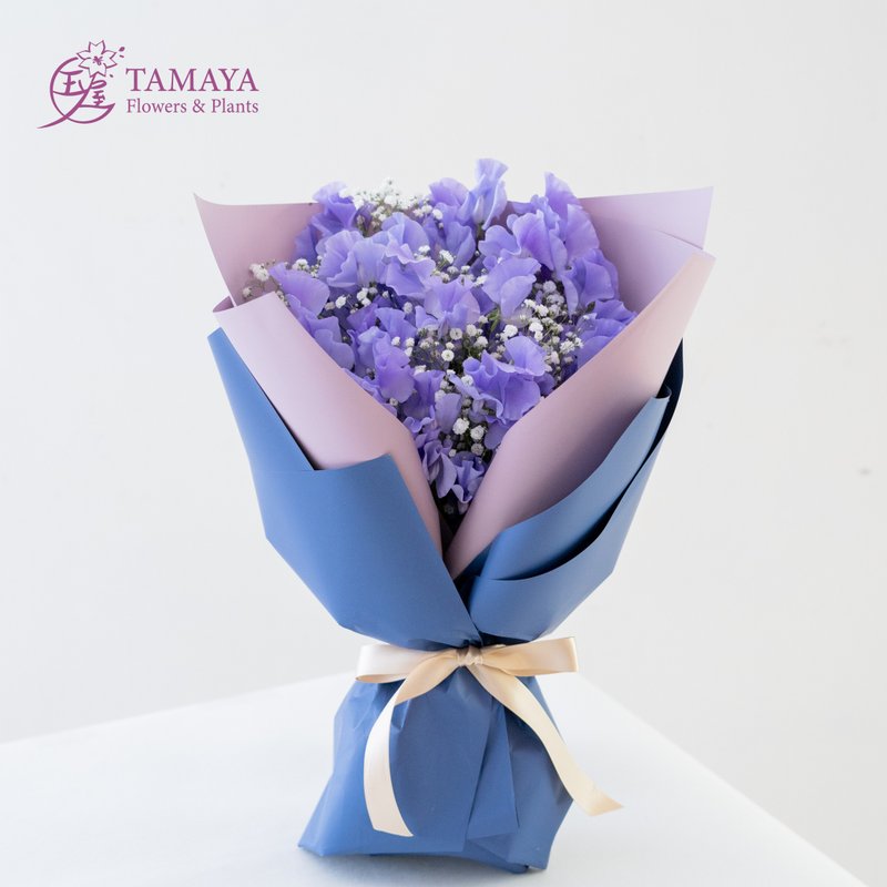 春光豆影 x 繁星 紫色香豌豆  20朵 - 盆栽/植栽 - 植物．花 紫色