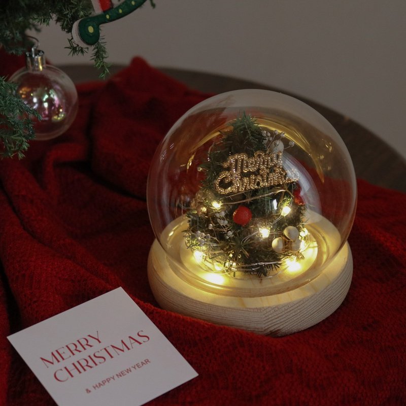 【遇見恆久】點亮心願日本進口永生雪松迷你聖誕樹玻璃罩 含燈 - 乾花/永生花 - 植物．花 