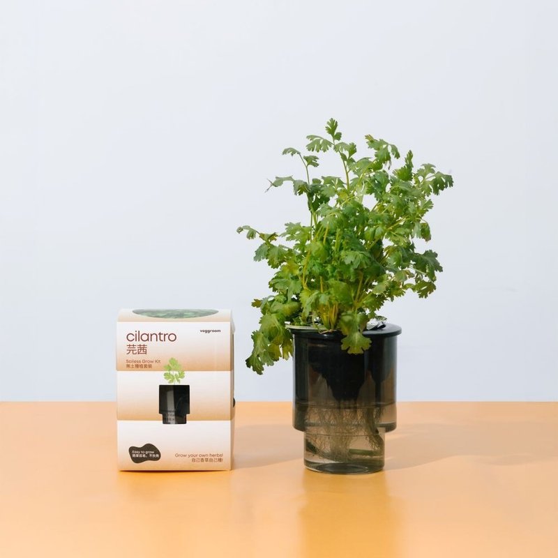 自己種 廚房香草系列: Veggroom 水耕芫茜種植套裝 - 花藝/盆栽/植栽 - 植物．花 灰色