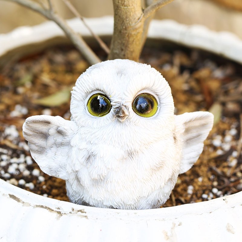 デバリエ mo10 フクロウの置物 梟 レジン製 ギフト 誕生日プレゼント 最適なプレゼント - 擺飾/家飾品 - 樹脂 咖啡色