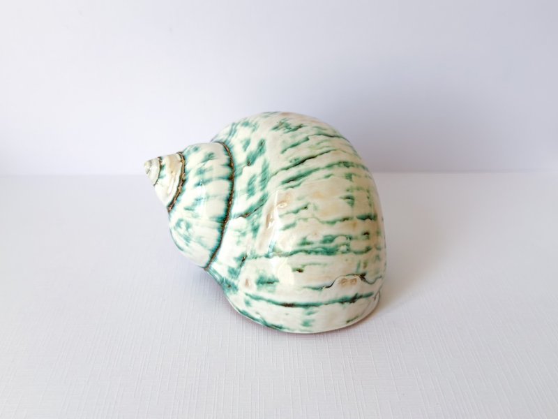 神奇的大海螺 貝殼 螺 海螺 - 擺飾/家飾品 - 貝殼 