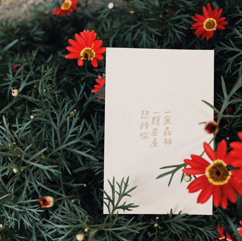 獻上祝福。想給你一顆星星一座森林 文字明信片 青青的島 - 心意卡/卡片 - 紙 