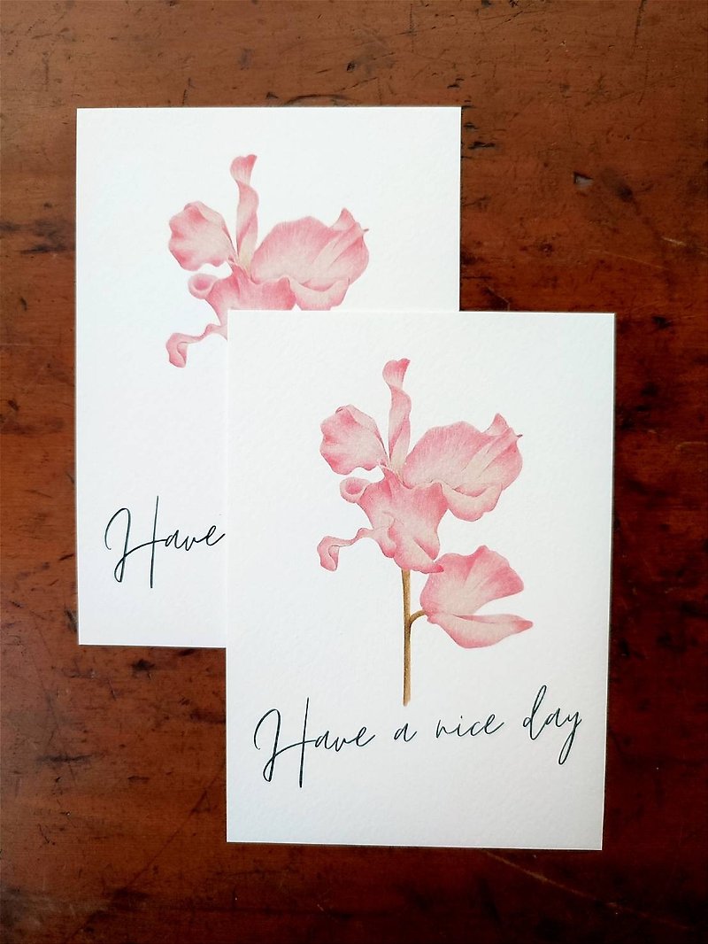 花卉插畫明信片 - 卡片/明信片 - 紙 