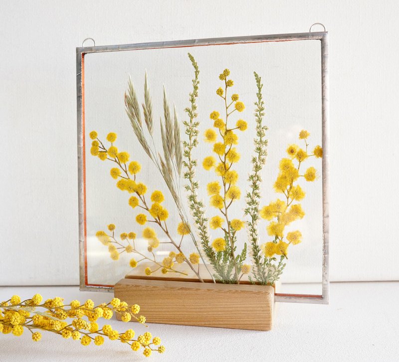 Real pressed mimosa Floral room decoration Dried flower 含羞草  本物のミモザ 金合歡 - Dried Flowers & Bouquets - Glass Yellow