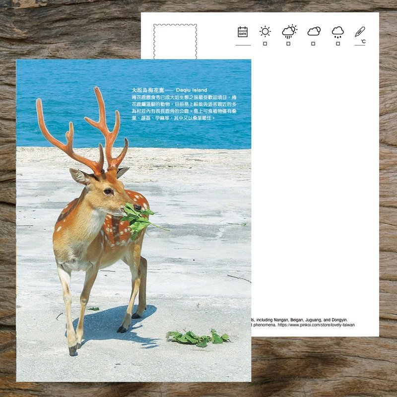 No.D15 Taiwan postcard / Buy 10 get 1 free - Cards & Postcards - Paper Multicolor