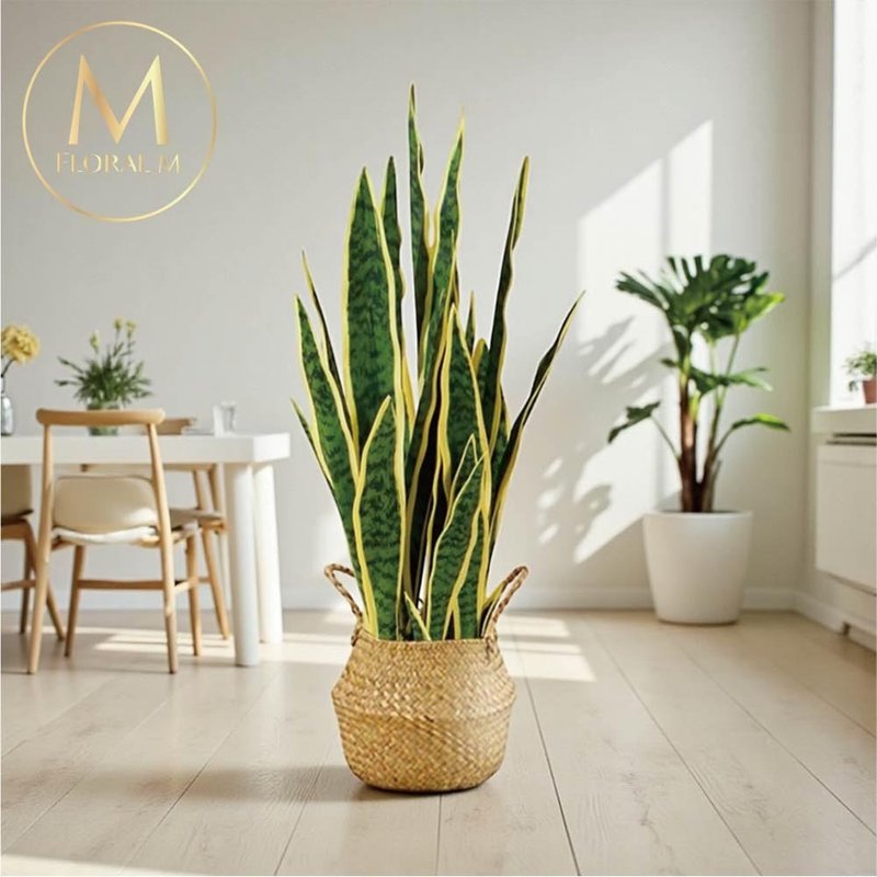 金運と仕事運を招く、サンセベリアの人工観葉植物 - 置物 - プラスチック グリーン