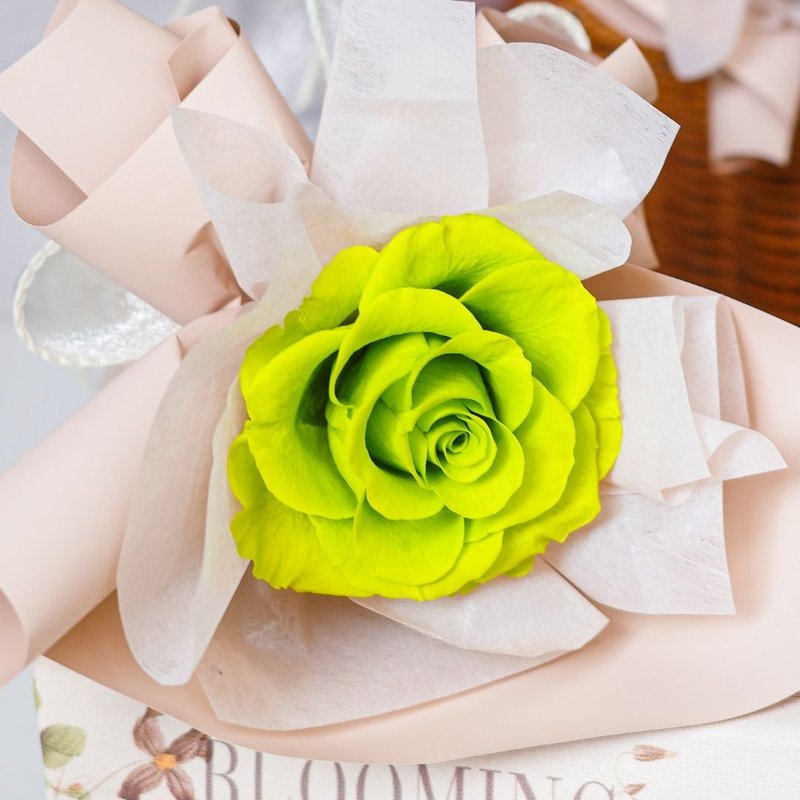 Preserved flower ice cream single bouquet-lime green ll - Dried Flowers & Bouquets - Other Materials 