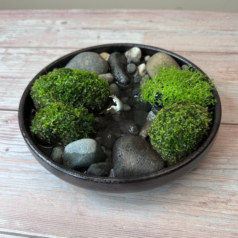 DIY マイクロランドスケープ 苔のワイルドファンポット/小川で遊ぶクレーン - 観葉植物 - 寄せ植え・花 ブラック
