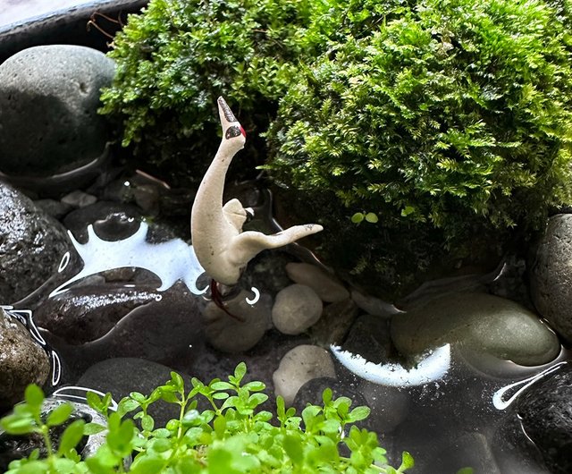 初心者向けDIY-ミクロ風景苔野生の楽しい盆地/小川で遊ぶクレーン - ショップ 本草崗木 観葉植物 - Pinkoi