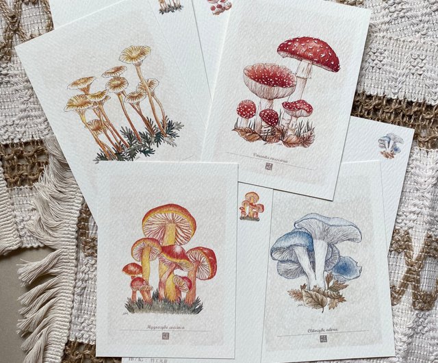 レトロなキノコのイラストカード/ポストカード - ショップ
