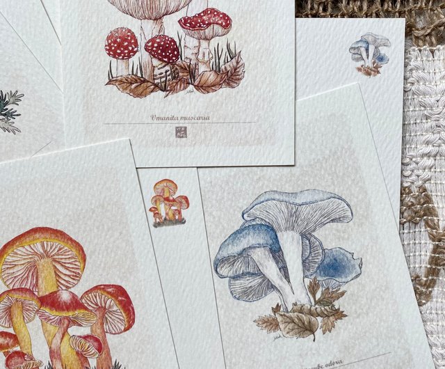 レトロなキノコのイラストカード/ポストカード - ショップ