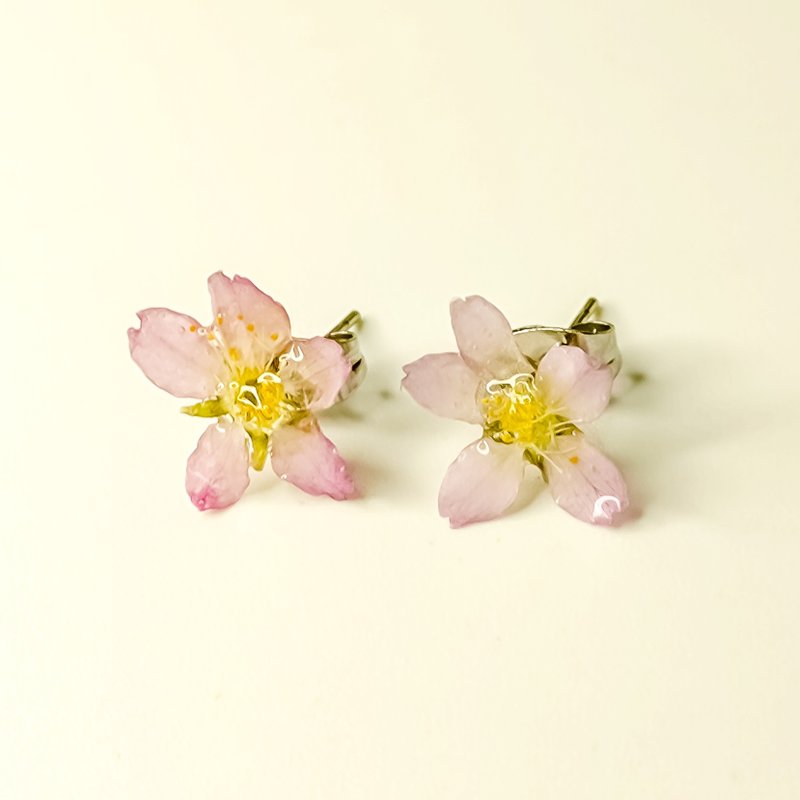 小さな桜のピアス(真花/自製乾燥花) - 耳環/耳夾/耳骨夾 - 植物．花 粉紅色