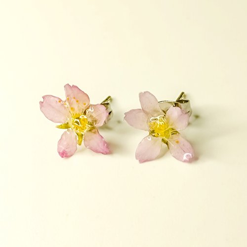 anais-accessories 小さな桜のピアス(真花/自製乾燥花)