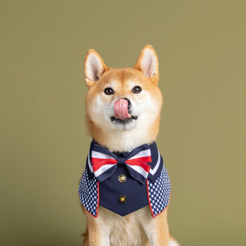 Le petit gentleman sous les étoiles parisiennes- Dog/ Cat/ Rabbit【ZAZAZOO】 - Clothing & Accessories - Cotton & Hemp Blue