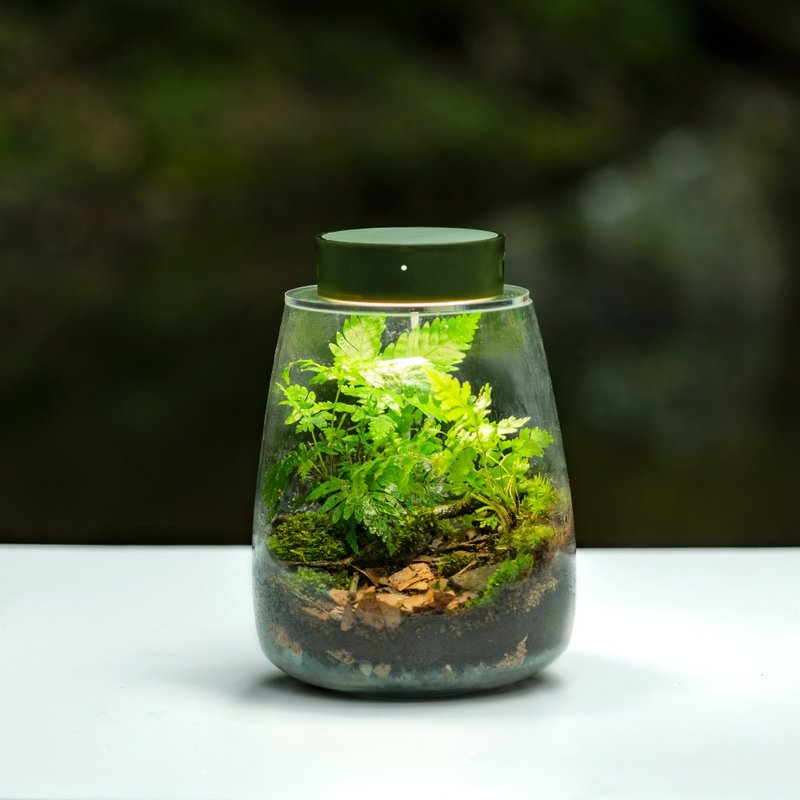 ONF MIST O 植霧光 - 隨吸植物培育燈具 X 苔蘚微景觀懶人包 - 燈具/燈飾 - 其他材質 