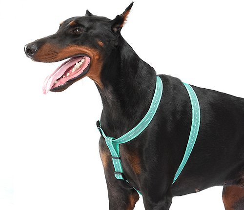 美好寵商 【寵物用品】DOGNESS多尼斯 防水系列胸背帶(3色) - 寵物背帶
