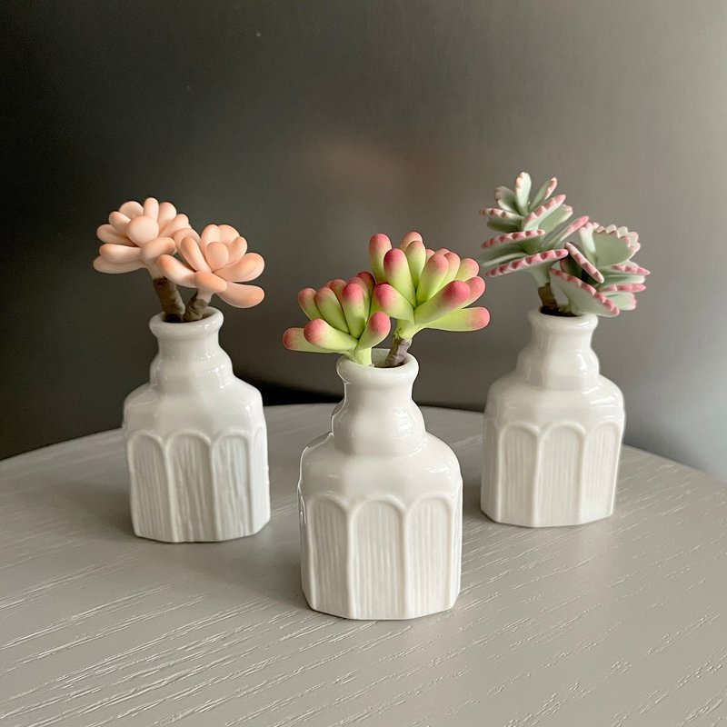 法式羅紋小白瓷瓶 共3款。軟陶黏土多肉植物 - 擺飾/家飾品 - 黏土 綠色