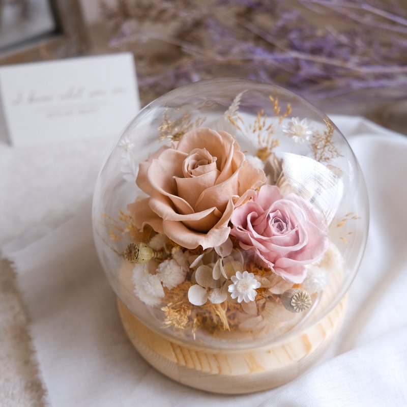 *擁愛*七夕情人節/乾燥奶茶/玻璃鐘罩(無燈)/告白/結婚周年紀念 - 植栽/盆栽 - 植物．花 卡其色