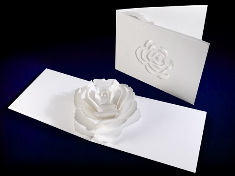 花のポップアップグリーティングカード    ローズ　forバースデー・ウェディング・母の日・卒業・お祝い・アニバーサリー - カード・はがき - 紙 ホワイト