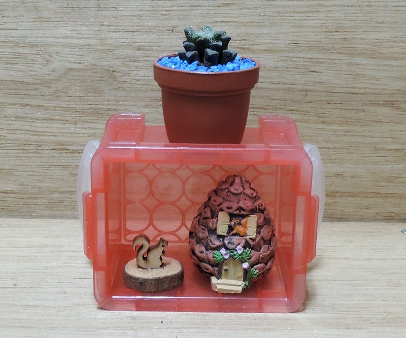 Find looking for potted succulents [winter limited] - ตกแต่งต้นไม้ - วัสดุอื่นๆ 
