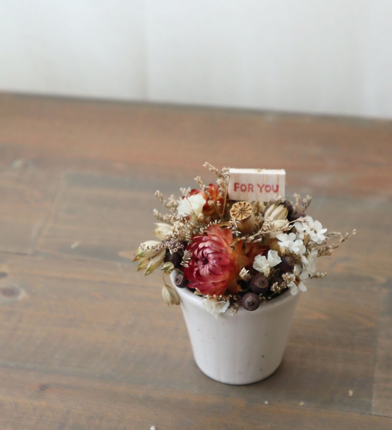 Western Fruit Mini Flower Cup / Double Cake Cup - ช่อดอกไม้แห้ง - พืช/ดอกไม้ 