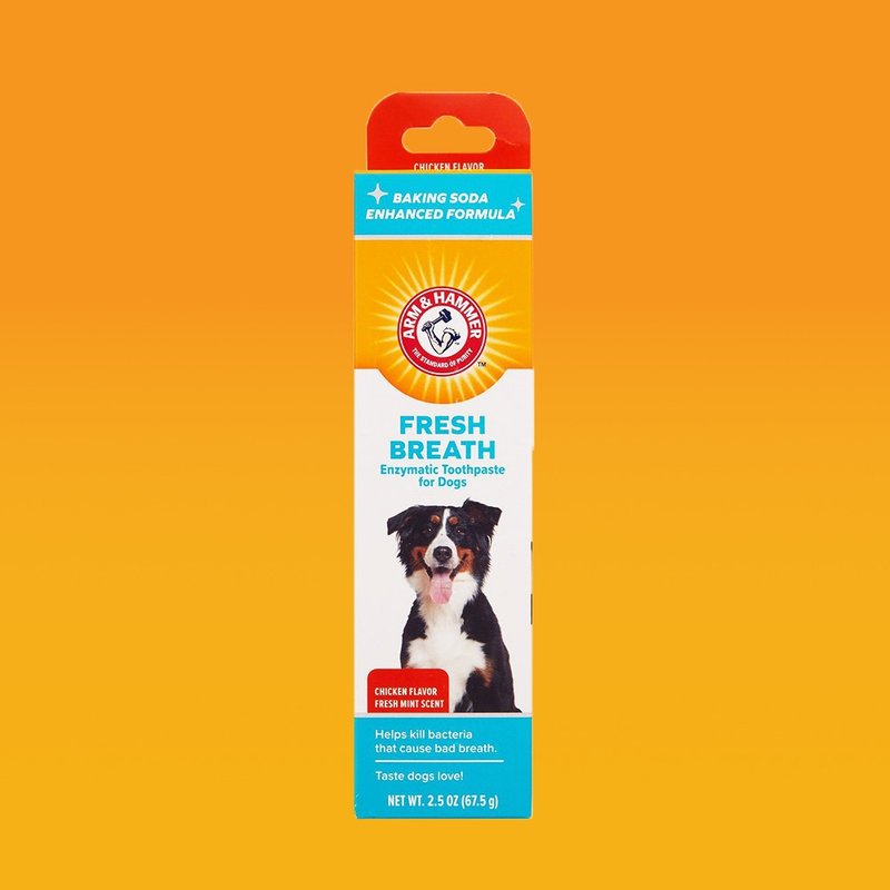 [Arm & Hammer] Enzyme Toothpaste for Dogs (Deep Clean) - Cleaning & Grooming - Other Materials Orange