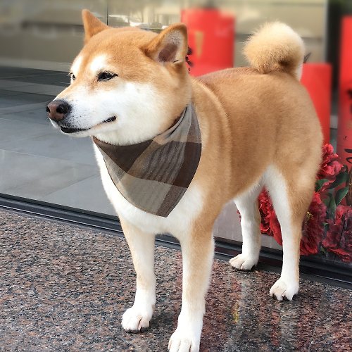 犬専用ネームスカーフ オーダーメイド（中型犬） キャメル スクエア