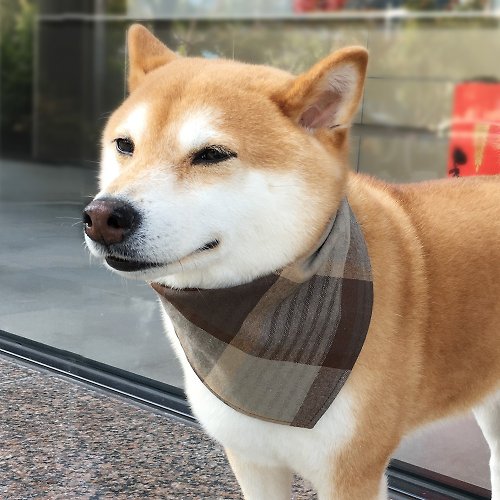 犬専用ネームスカーフ オーダーメイド（中型犬） キャメル スクエア