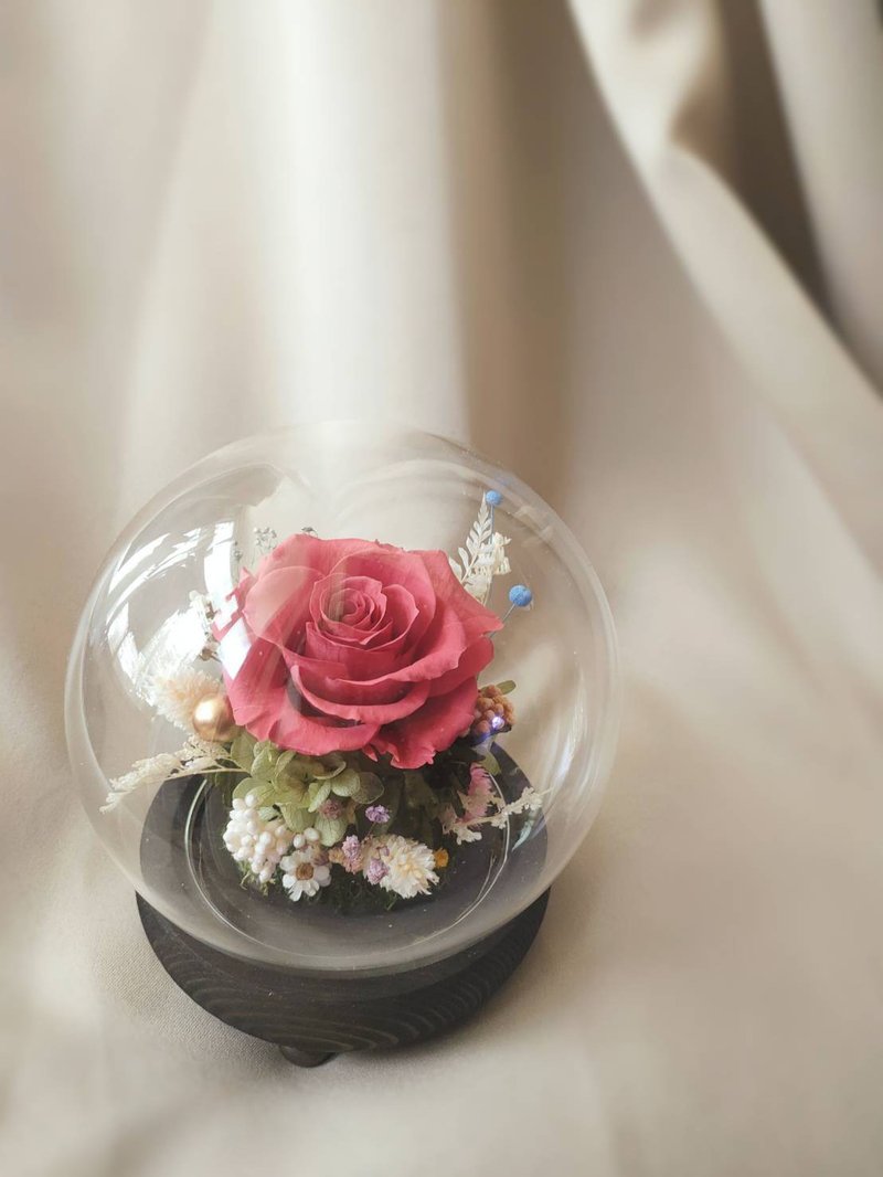 Sheer Whisper Whispering Tibetan Flowers Love Eternal Flower Glass Ball Atmosphere Lamp Glass Shade - Dried Flowers & Bouquets - Plants & Flowers Pink