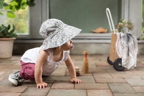 elodie details dots of fauna