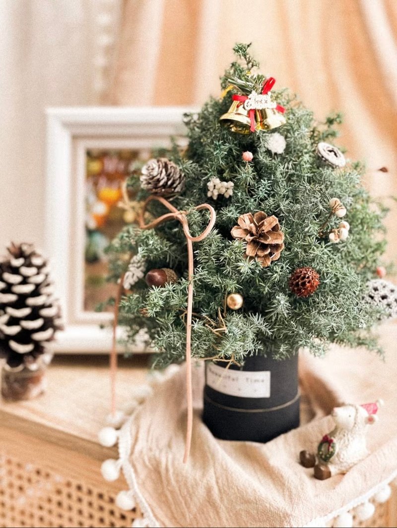 經典 | 永生聖誕樹、交換禮物、DIY聖誕樹材料包 - 植物/盆栽/盆景 - 植物．花 綠色