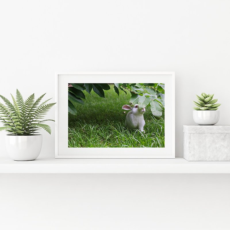 Rabbit Photography Giclee Works - Summer Hidden Ruby - โปสเตอร์ - กระดาษ สีเขียว