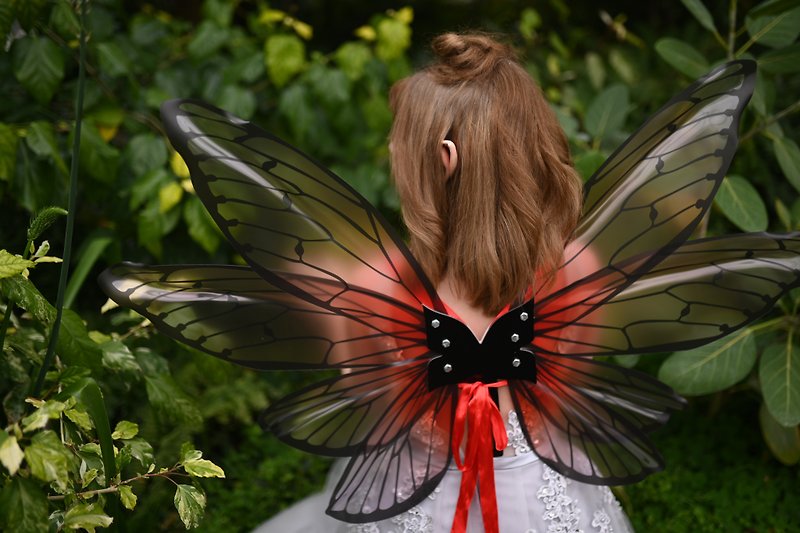 Magic fairy wings, fairy wings, magic butterfly wings for photo shoot, beautiful