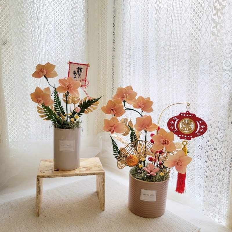 索拉蘭花桌花。盆花。擺飾。附包裝。開幕花禮 - 乾燥花/永生花 - 植物．花 
