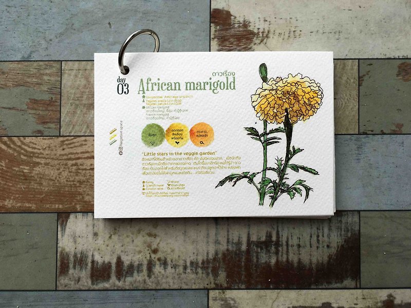 【african marigold flower 】【calendar card】【Pinkoi Xmas 2022】【ของขวัญคริสต์มาส】 - 心意卡/卡片 - 紙 
