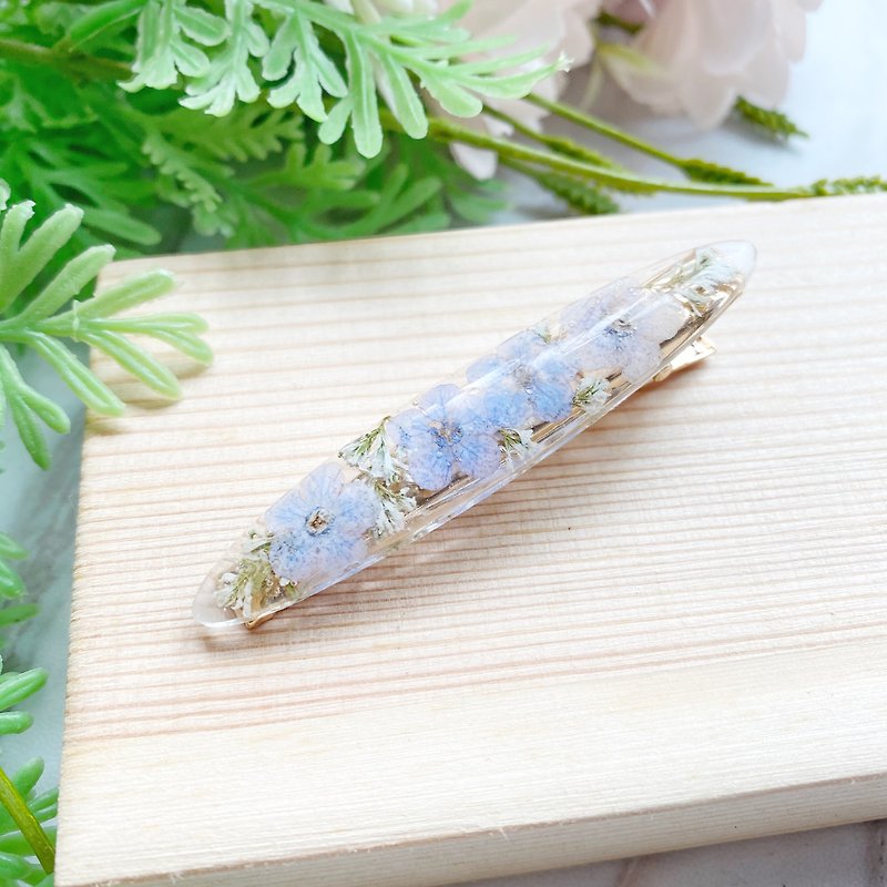 Real flower pressed flower forget-me-not hair clip hairpin barrette