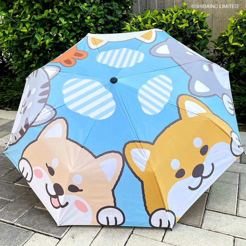 SHIBAINC 柴犬工房 晴天 雨天 傘 - 雨傘/雨衣 - 防水材質 藍色